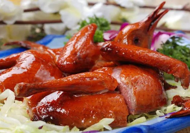 Guangming Pigeon Guangming Pigeon